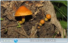 0_fbe47_4572414e_orig.png