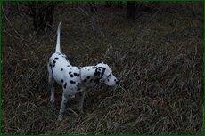 0_c7125_eac509fe_orig.jpg