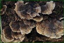 0_c87d4_289f41f1_orig.jpg