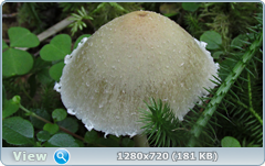 0_ea38e_55f7282e_orig.png