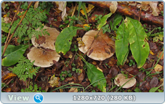 0_f27dc_175b9342_orig.png