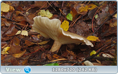 0_f27e0_7e25ce6d_orig.png