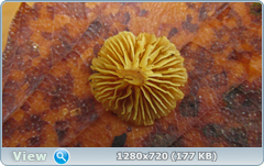 0_f280a_fe69fba3_orig.png