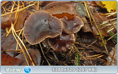 0_f280c_d9915ae2_orig.png