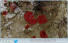 0_fa698_5f8b713f_orig.png