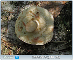 0_eafc1_7faad56d_orig.png