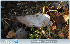 0_f382c_8984c094_orig.png