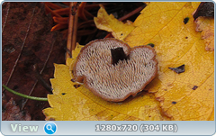 0_f2790_68c8eb01_orig.png