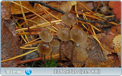 0_f27a2_54098fcb_orig.png