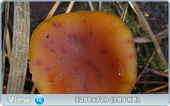 0_f2ffc_6abeaec4_orig.png