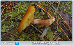 0_f300c_a7ba606b_orig.png