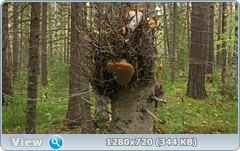 0_ef6b1_8b3b57ed_orig.png