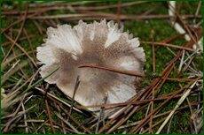 0_c71d9_6e92cc10_orig.jpg