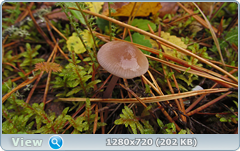 0_f27be_c6b2991e_orig.png