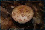 0_d2398_1e305a32_orig.jpg