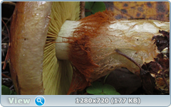 0_f14db_50de1fa5_orig.png