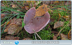 0_f384e_2e422bef_orig.png