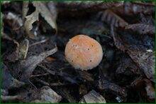 0_c5f96_5383bb8e_orig.jpg