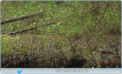 0_e859d_17451165_orig.png