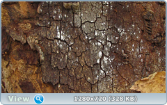 0_f6e36_9824d459_orig.png