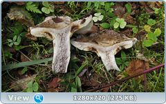0_ee2bd_75f81897_orig.png