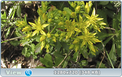 0_e7458_24bb63b_orig.png