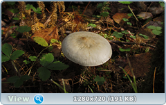 0_f161b_8179e9b5_orig.png