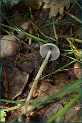 0_cf520_214f276_orig.jpg