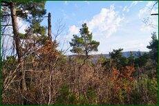 0_c5e28_77932033_orig.jpg