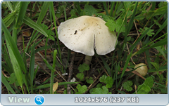 0_e7801_fd24e490_orig.png