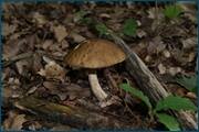 0_d2442_487a2cdb_orig.jpg