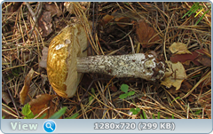 0_ef374_f37c0a9f_orig.png