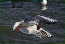 0_c6848_13230b92_orig.jpg