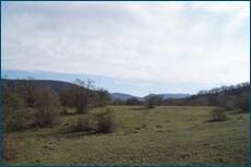 0_cc637_e35a87ff_orig.jpg