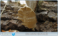0_f4d54_5d3e9a66_orig.png