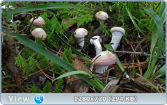 0_fbe7d_24f96cf_orig.png