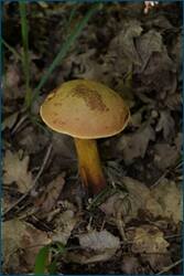 0_d1f49_e672a5d1_orig.jpg