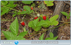 0_e785d_3ab7fc6c_orig.png