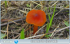 0_eab7d_6753337f_orig.png