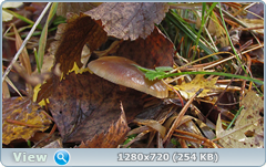 0_f2fad_5b81853_orig.png