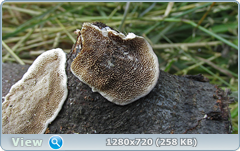 0_e9505_e9f8efd1_orig.png