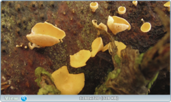 0_e1e7c_6d8a9167_orig.png