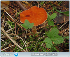 0_eb01a_1f112faf_orig.png