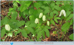 0_e3784_450ef9da_orig.png