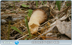 0_fb698_69b84d7d_orig.png