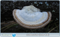 0_f3828_e0791b98_orig.png