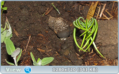 0_e6a52_a01ba546_orig.png