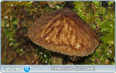 0_ead82_881ef609_orig.png