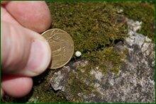 0_c880e_4b5a5205_orig.jpg