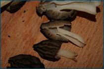 0_cc9ea_13003b74_orig.jpg
